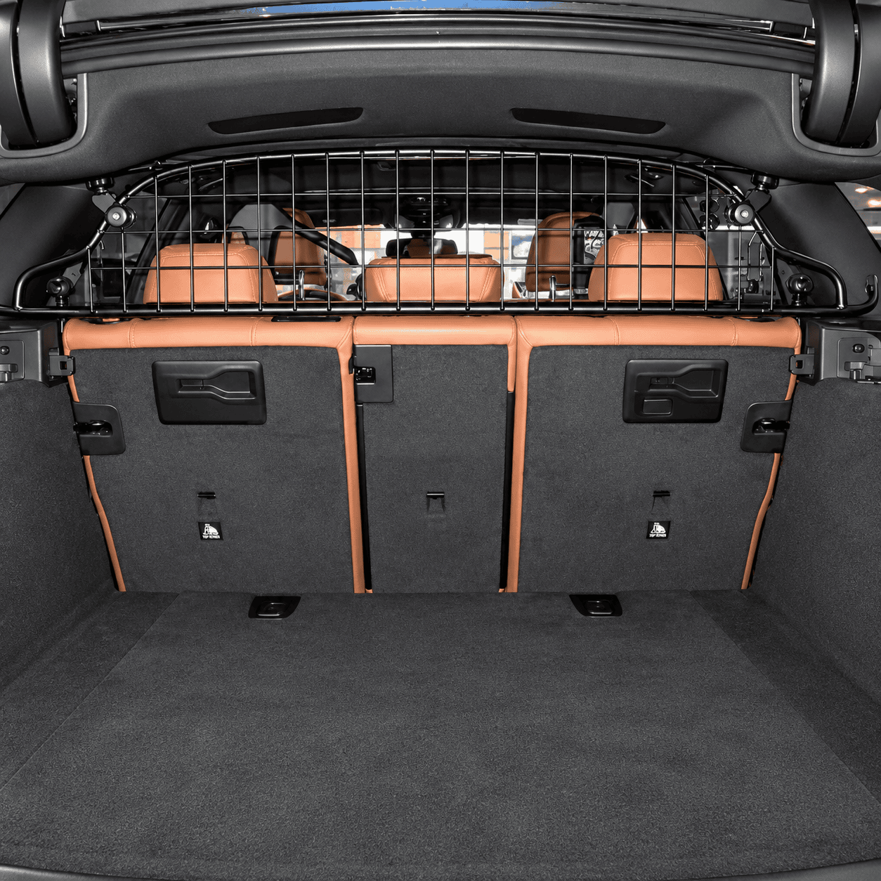 Hundegitter BMW 5er Touring G31 2017-2024 – KI-bearbeitet