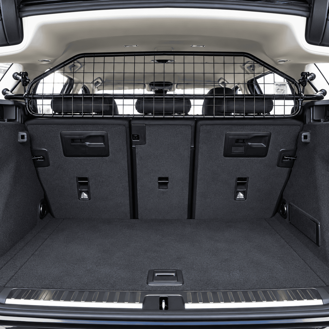Hundegitter BMW 3er G21 Touring – KI-bearbeitet
