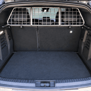 Hundegitter Renault Megane E-Tech - Renault Symbioz - Mitsubishi Grandis – KI-bearbeitet