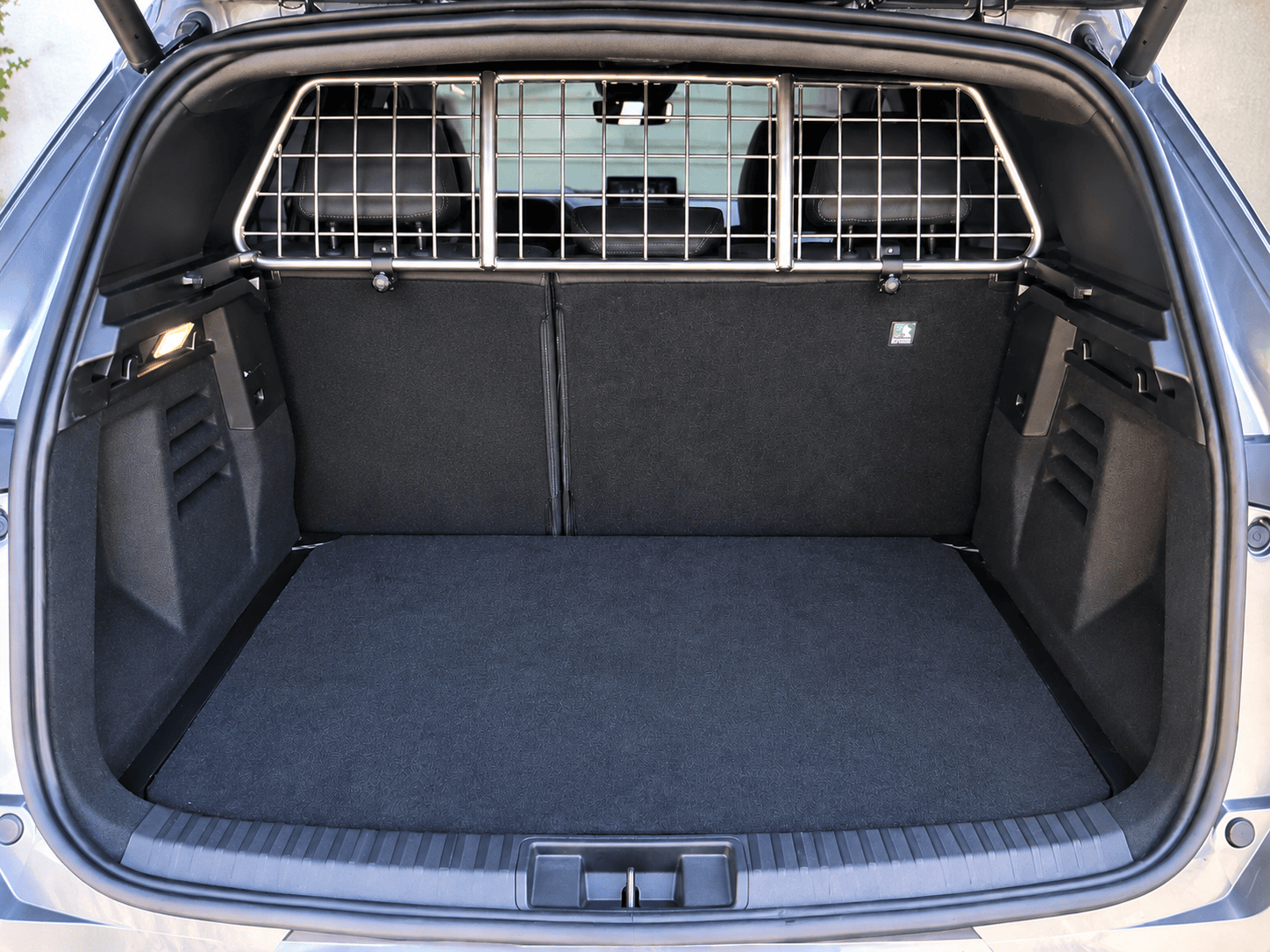 Hundegitter Renault Megane E-Tech - Renault Symbioz - Mitsubishi Grandis – KI-bearbeitet