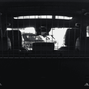 Hundegitter Mercedes GLB X247