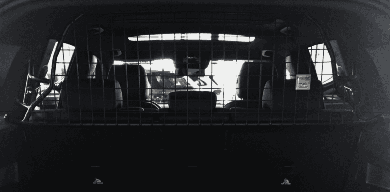 Hundegitter Mercedes GLB X247