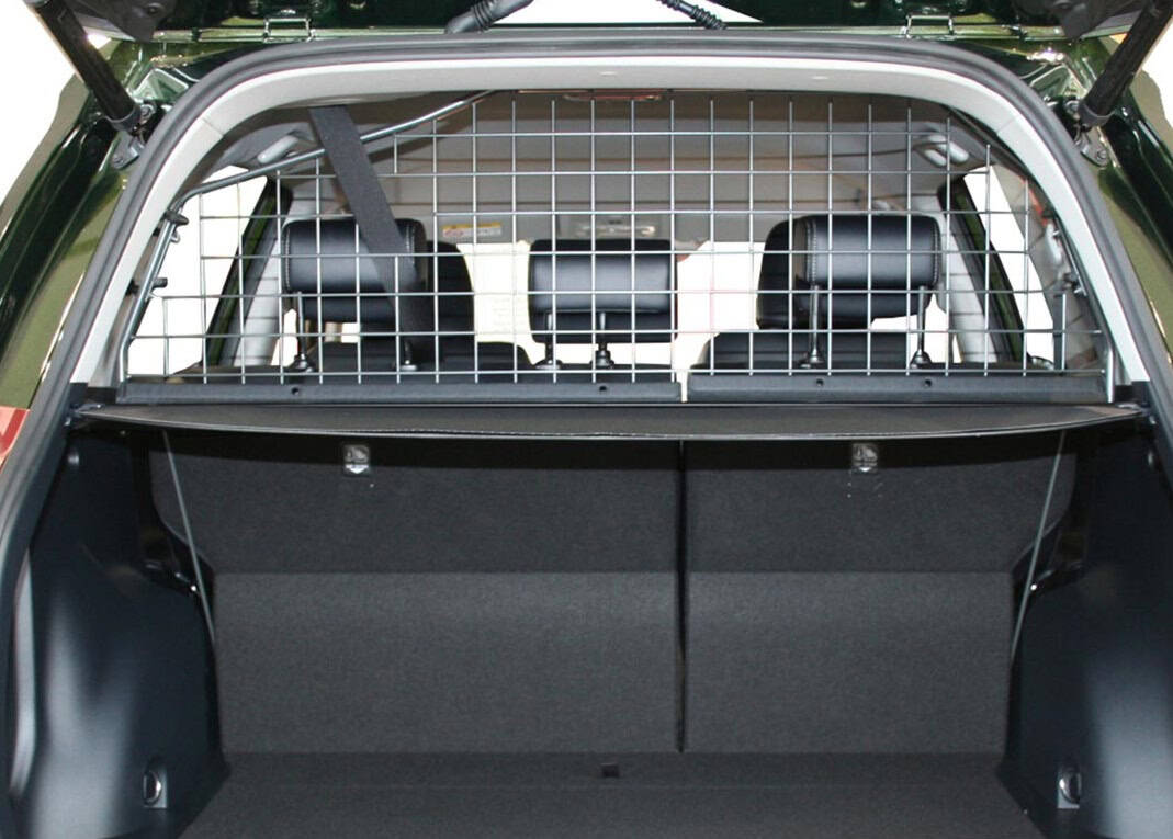 Hundegitter Toyota RAV 4