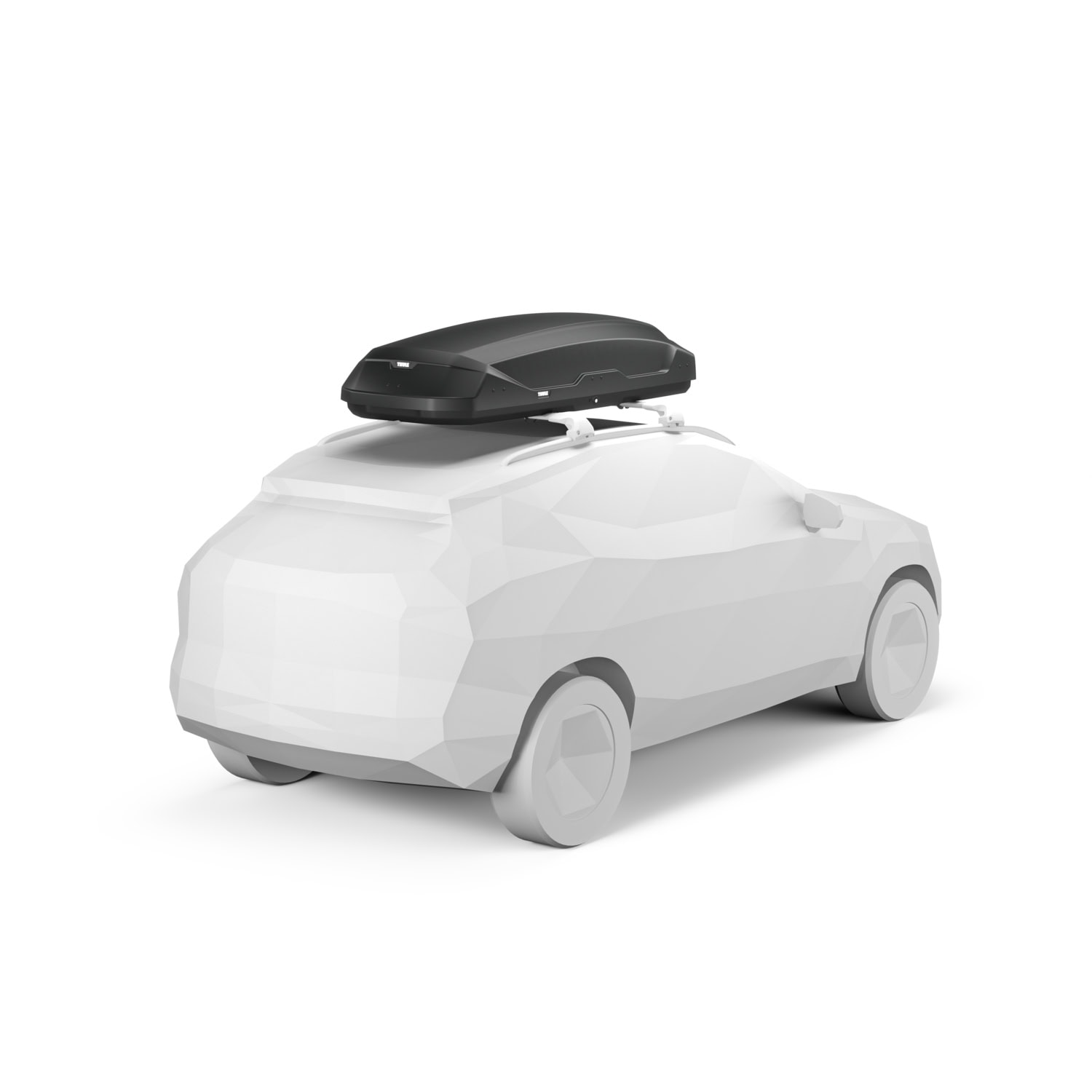 Thule Pulse 2 L hinten