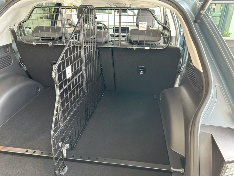 Trenngitter Hyundai IONIQ 5 2021-