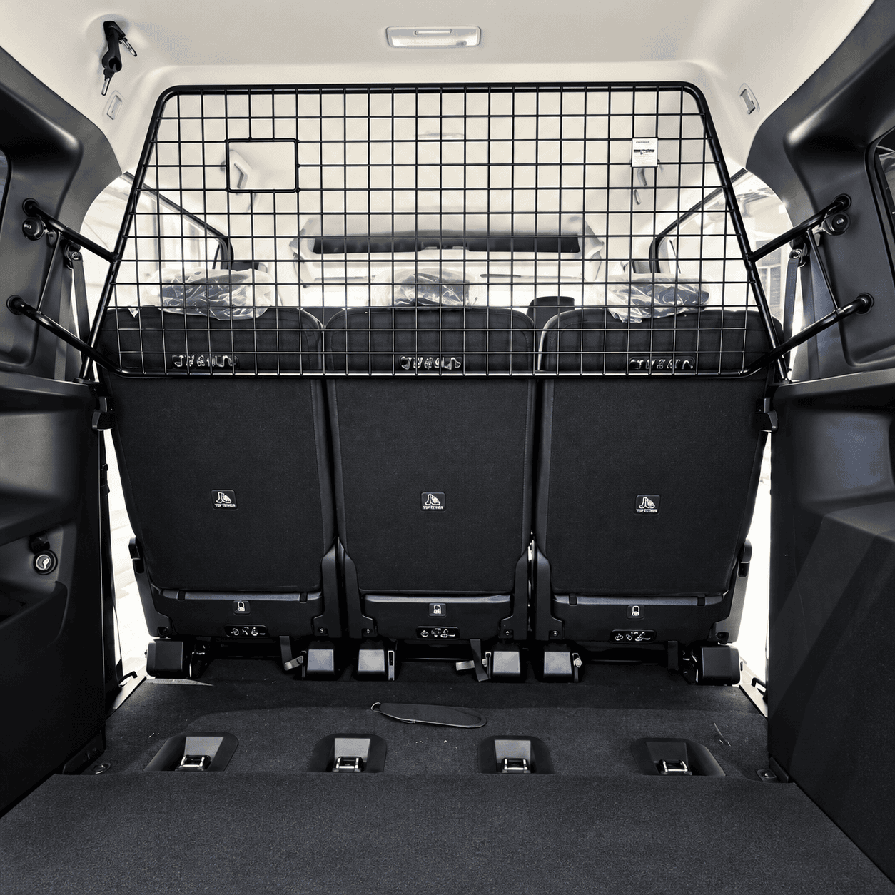 Hundegitter Renault Kangoo III langer Radstand – KI-bearbeitet